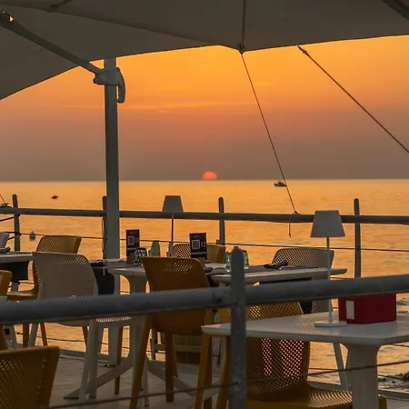 Popula - The Lifestyle ガリポリ