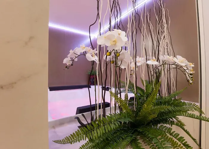 ホテル Popula - The Lifestyle